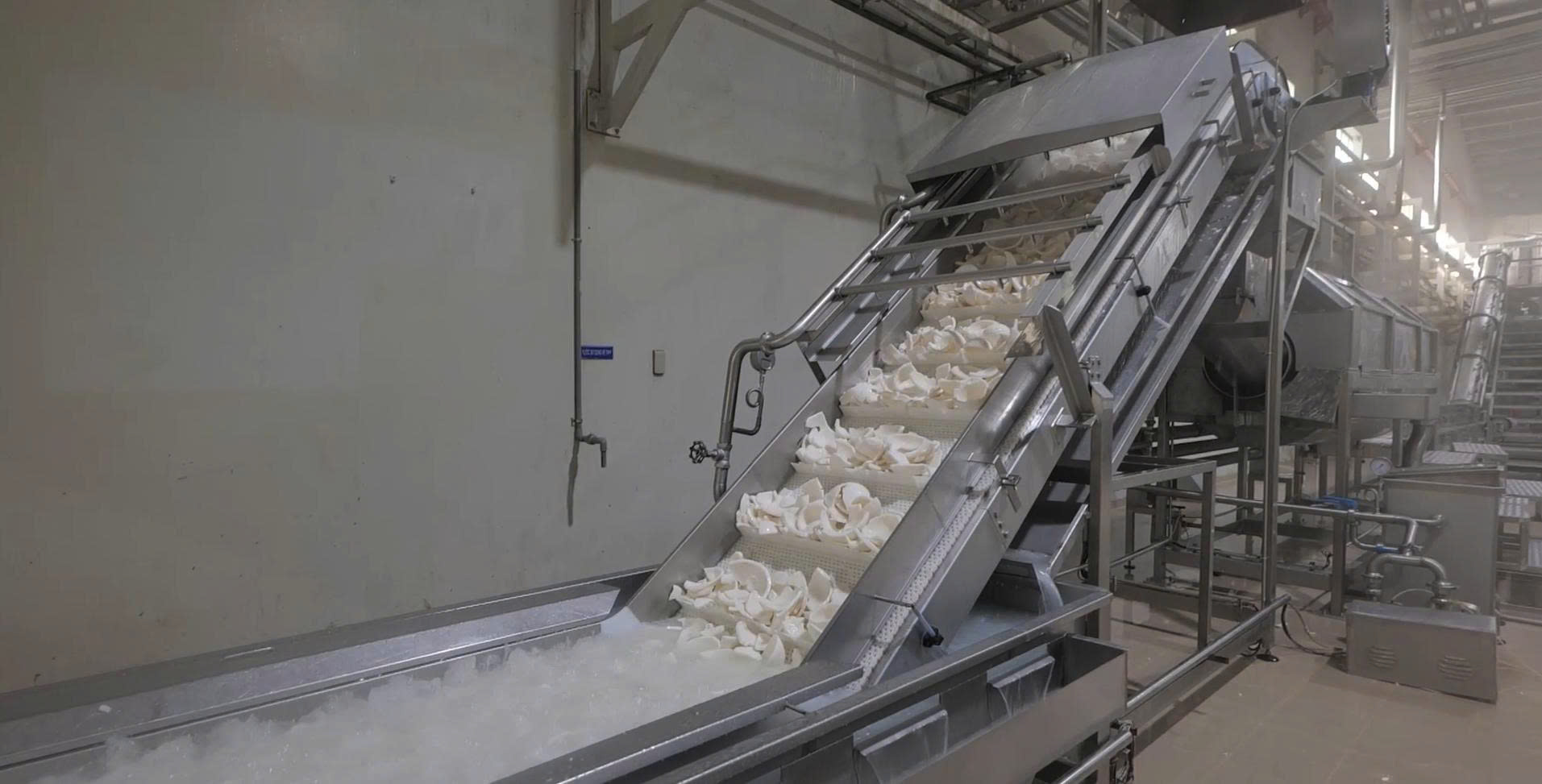 Production line