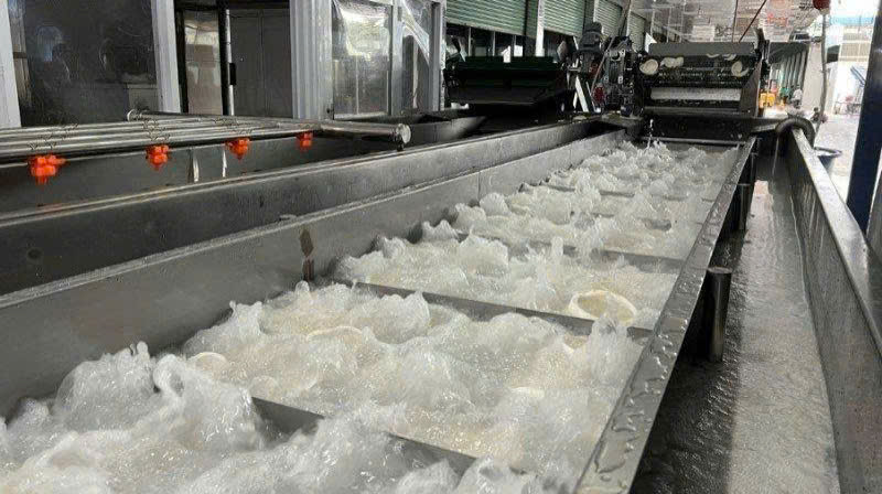 Washing & Sterilization Flume