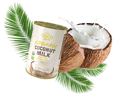 best coconut milk best coconut milk