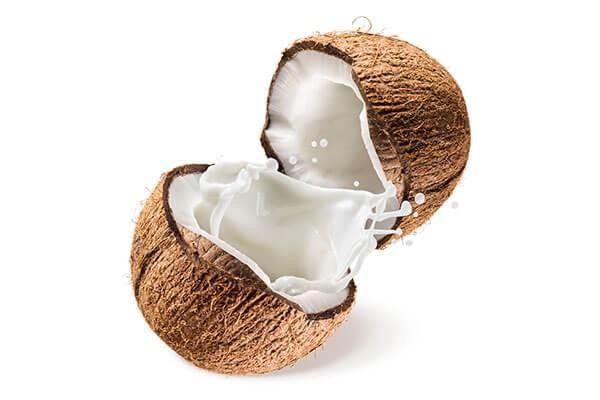 buy coconut milk buy coconut milk