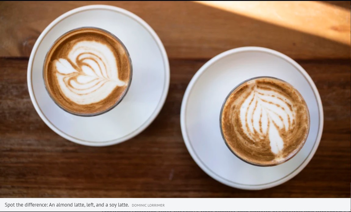 Latte Latte